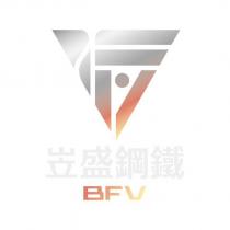 岦盛鋼鐵 BFV 及圖