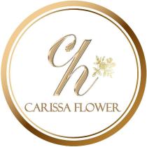 ch CARISSA FLOWER 及圖