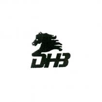 DHB 及圖
