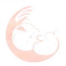 老虎設計圖
