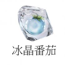 冰晶番茄及圖