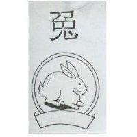 兔及圖