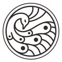 孔雀設計圖