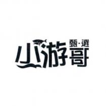 小游哥甄.選