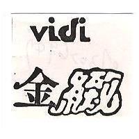 金緻 VIDI 