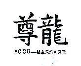 尊龍 ACCU MASSAGE 