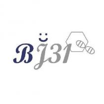 BJ31 及圖