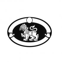 SINGHA Device in Oval