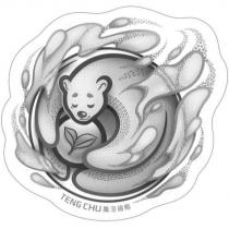 TENG CHU 騰洰國際及圖