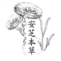 安芝本草及圖