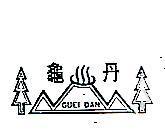 龜丹及圖 GUEI DAN 