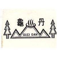 龜丹 GUEI DAN 及圖 
