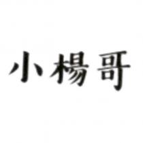 小楊哥