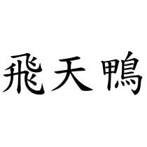 飛天鴨