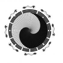 八卦圖