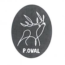 P.OVAL 及圖