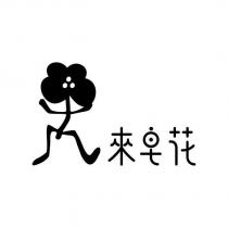 來皂花及圖