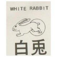 白兔及圖 WHITE RABBIT