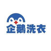 企鵝洗衣及圖