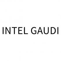 INTEL GAUDI