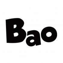 Bao 設計字