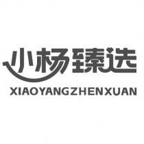 小楊臻選 XIAOYANGZHENXUAN