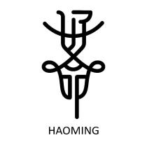 好命 HAOMING 設計字