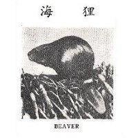 海貍 BEAVER 及圖 