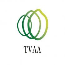 TVAA 及圖
