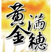 黃金滿穗 及圖