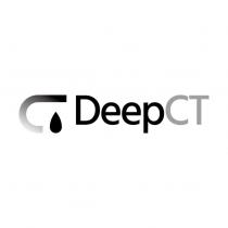 DEEP CT 及圖