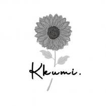 Kkumi 及圖