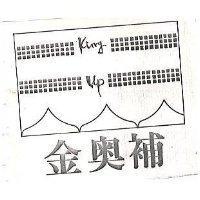 金奧補 KING UP 及圖 