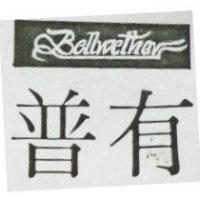 普有 BELLWETHER 
