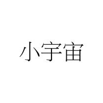 小宇宙