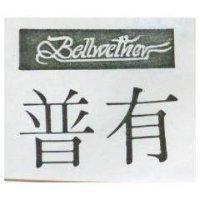 普有 BELLWETHER 