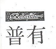 普有 BELLWETHER 