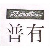 普有 BELLWETHER 