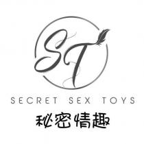 秘密情趣 SECRET SEX TOYS 及圖