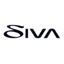 DIVA 設計字