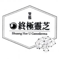 雙鶴終極靈芝 Shuang Hor U Ganoderma 及圖