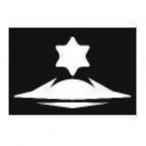 流星島股份有限公司標章