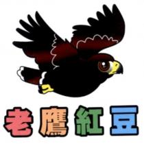 老鷹紅豆及圖
