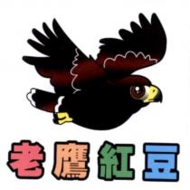 老鷹紅豆及圖