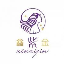 鑫紫金 xinzijin 設計字及圖