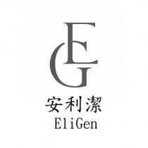 安利潔 EliGen 及圖