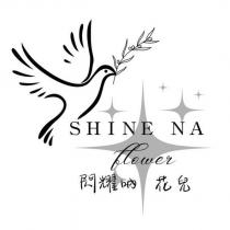閃耀吶花兒 SHINE NA 及圖