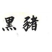 黑豬