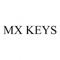 MX KEYS