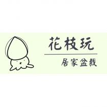 花枝玩 居家盆栽及圖